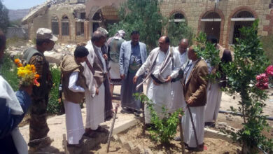 نائب وزير الزراعة يدشن تشجير ساحات المرافق الحكومية بصعدة