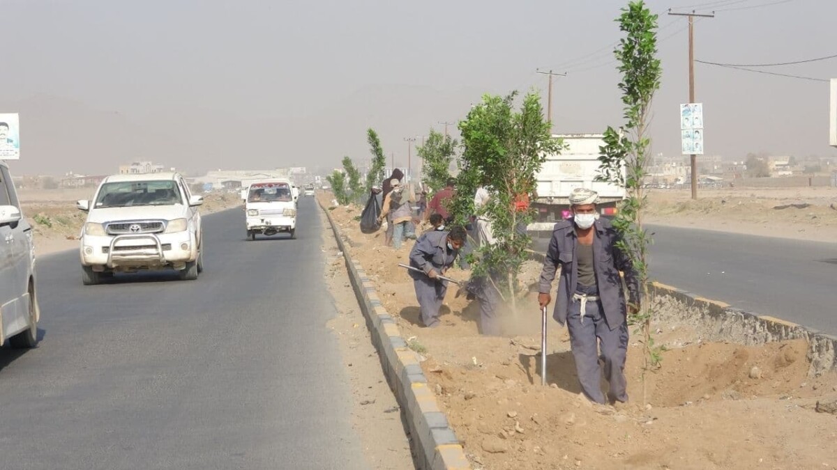 محافظ صعدة يدشن حملة نظافة وزراعة وتشجير خط مدينة الطلح1