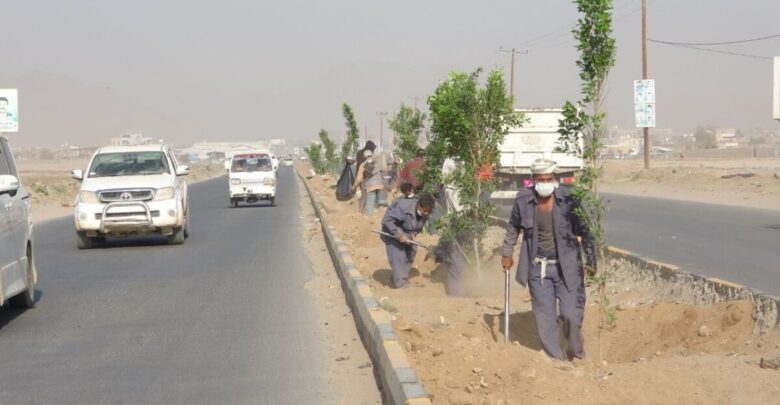 محافظ صعدة يدشن حملة نظافة وزراعة وتشجير خط مدينة الطلح1